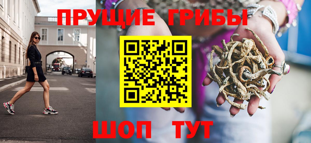 Псилоцибиновые грибы Psilocybe  Вход с VPN  Октябрьский 