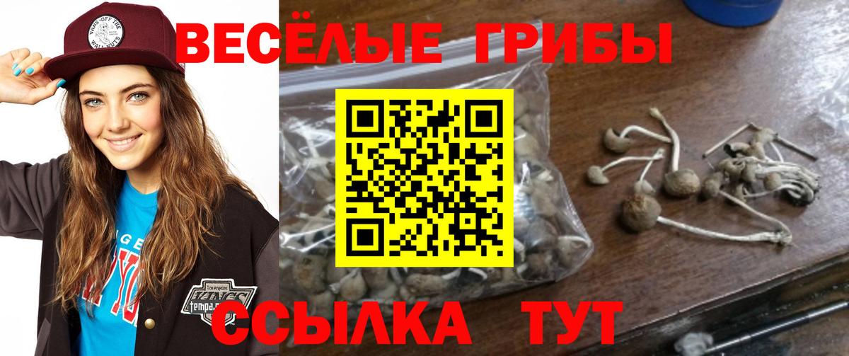 Галлюциногенные грибы GOLDEN TEACHER Октябрьский